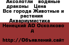 Аксолотли / водяные драконы › Цена ­ 500 - Все города Животные и растения » Аквариумистика   . Ненецкий АО,Осколково д.